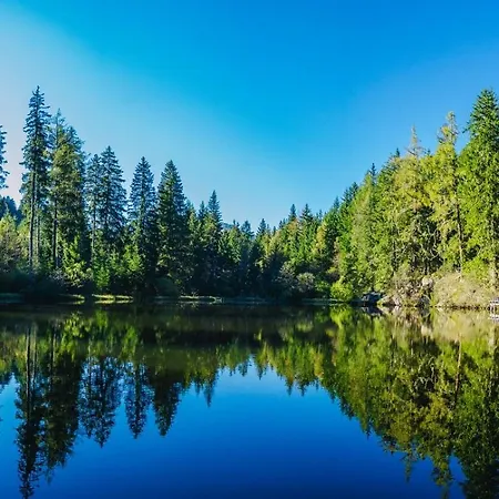 Mg4 شقة موراو