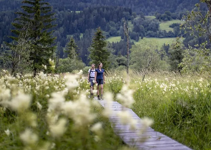 Mg4 - Modern Design In 18th-century House * 穆劳